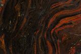 Free-Standing Polished Tiger Iron Stromatolite - Ga #308151-2